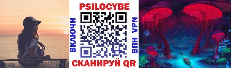 Псилоцибиновые грибы Psilocybine cubensis купить наркотик Заинск