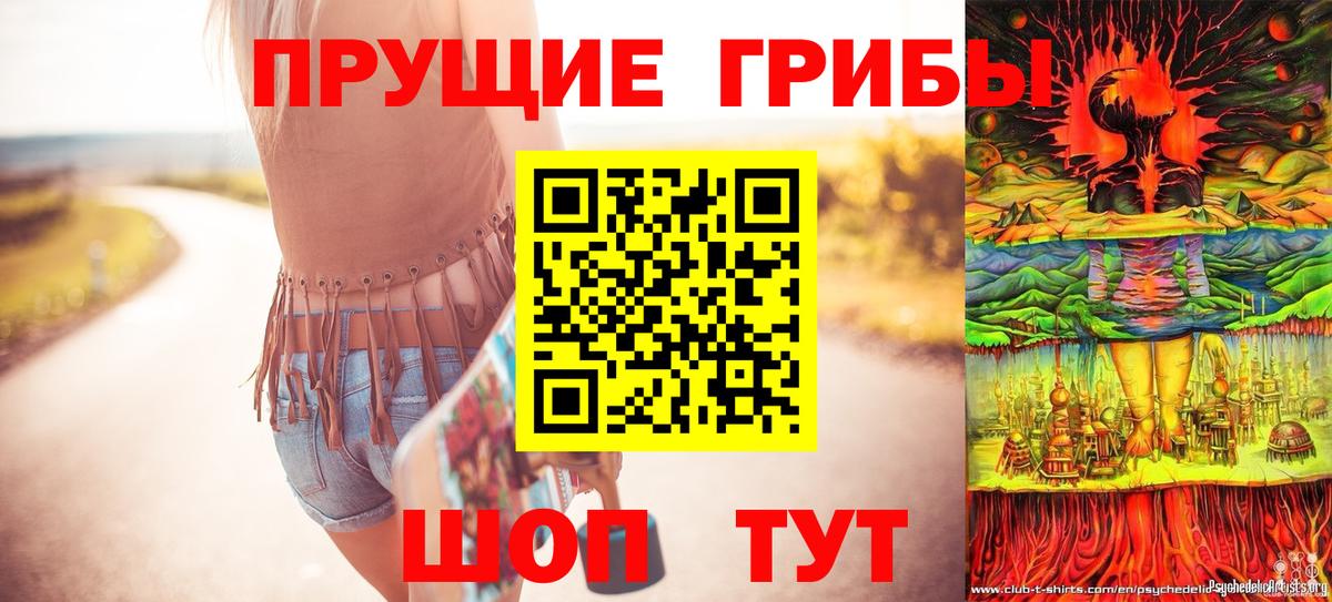 Заинск  Псилоцибиновые грибы GOLDEN TEACHER  Вход с VPN 